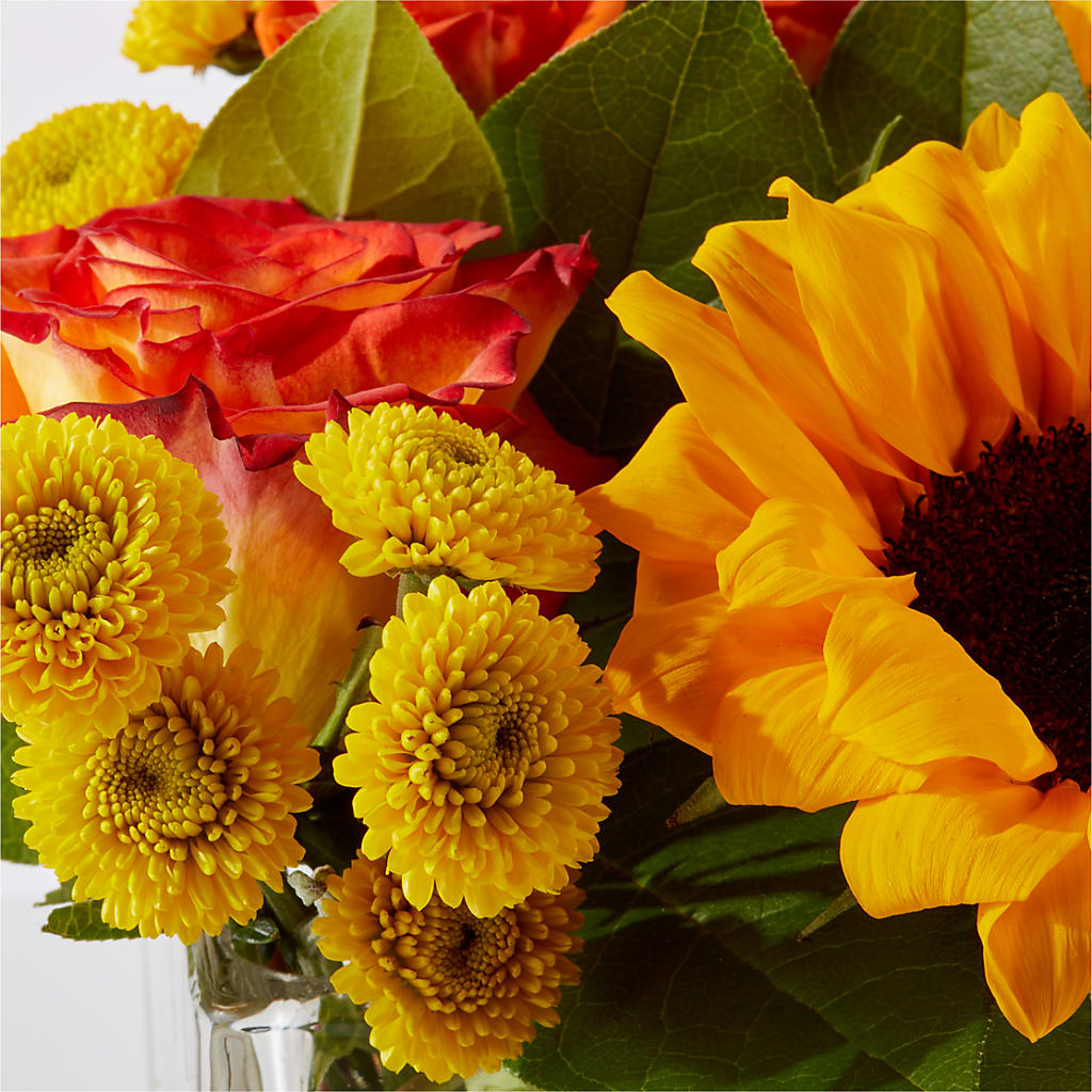 Picnic in the Park Bouquet –  Albertsons, Pleasanton CA