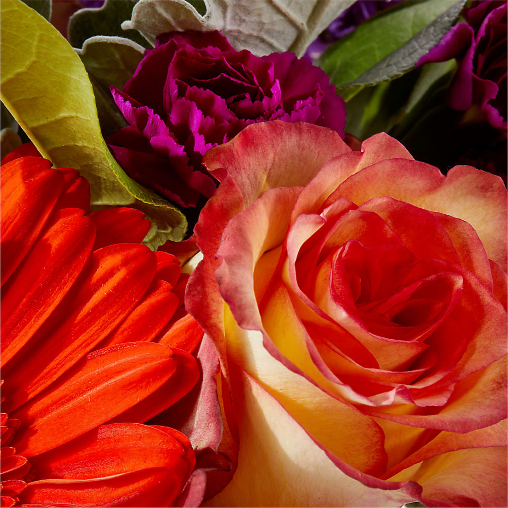 Sangria Bouquet –  Albertsons, Pleasanton CA