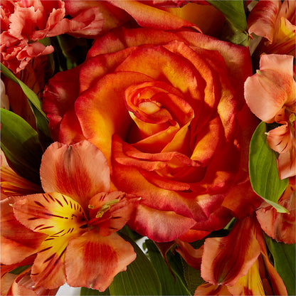 Apricot Glow Bouquet –  Albertsons, Pleasanton CA