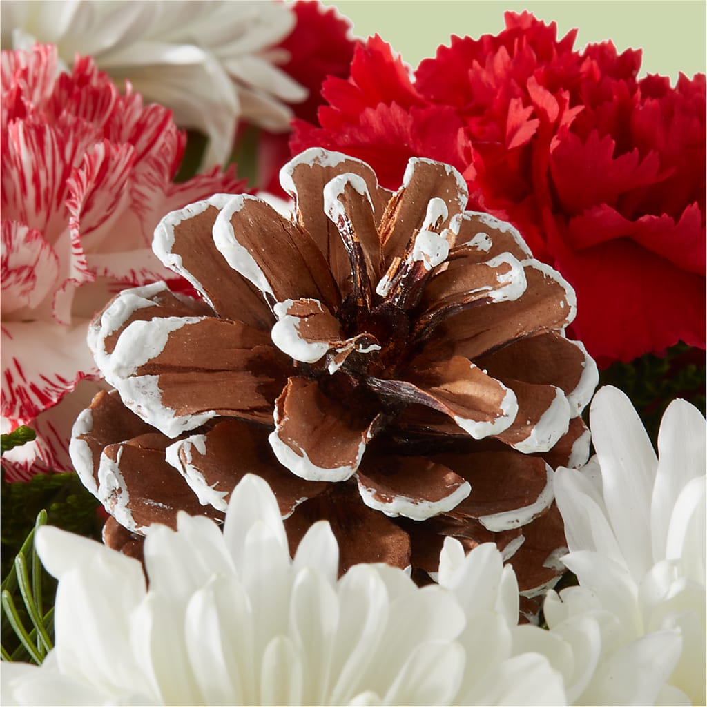 Candy Cane Lane Bouquet –  Albertsons, Pleasanton CA