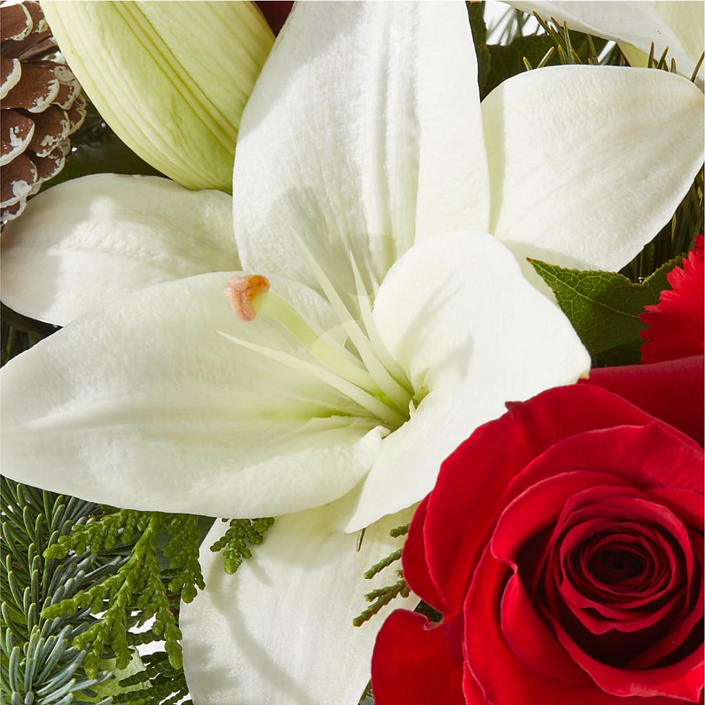 Oh So Jolly Bouquet –  Albertsons, Pleasanton CA