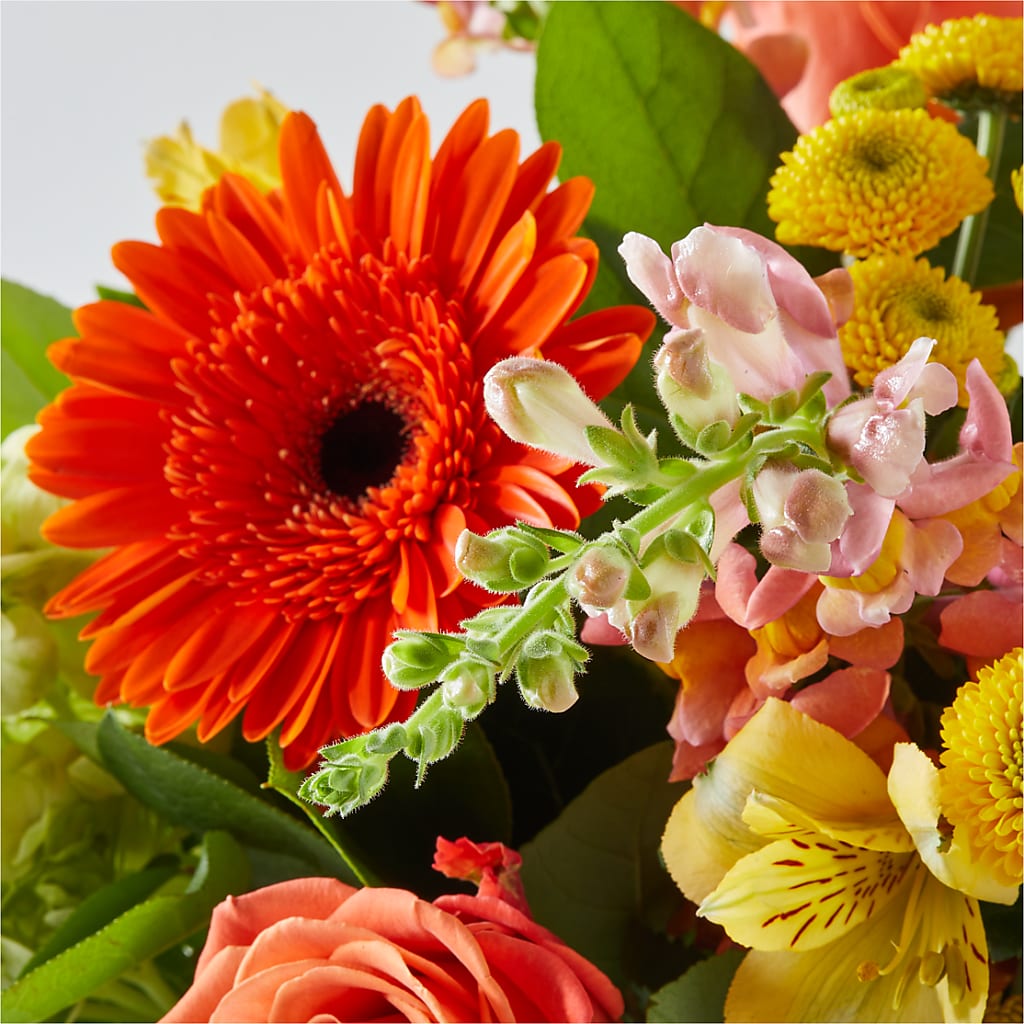 Autumn Sunshine Bouquet –  Albertsons, Pleasanton CA