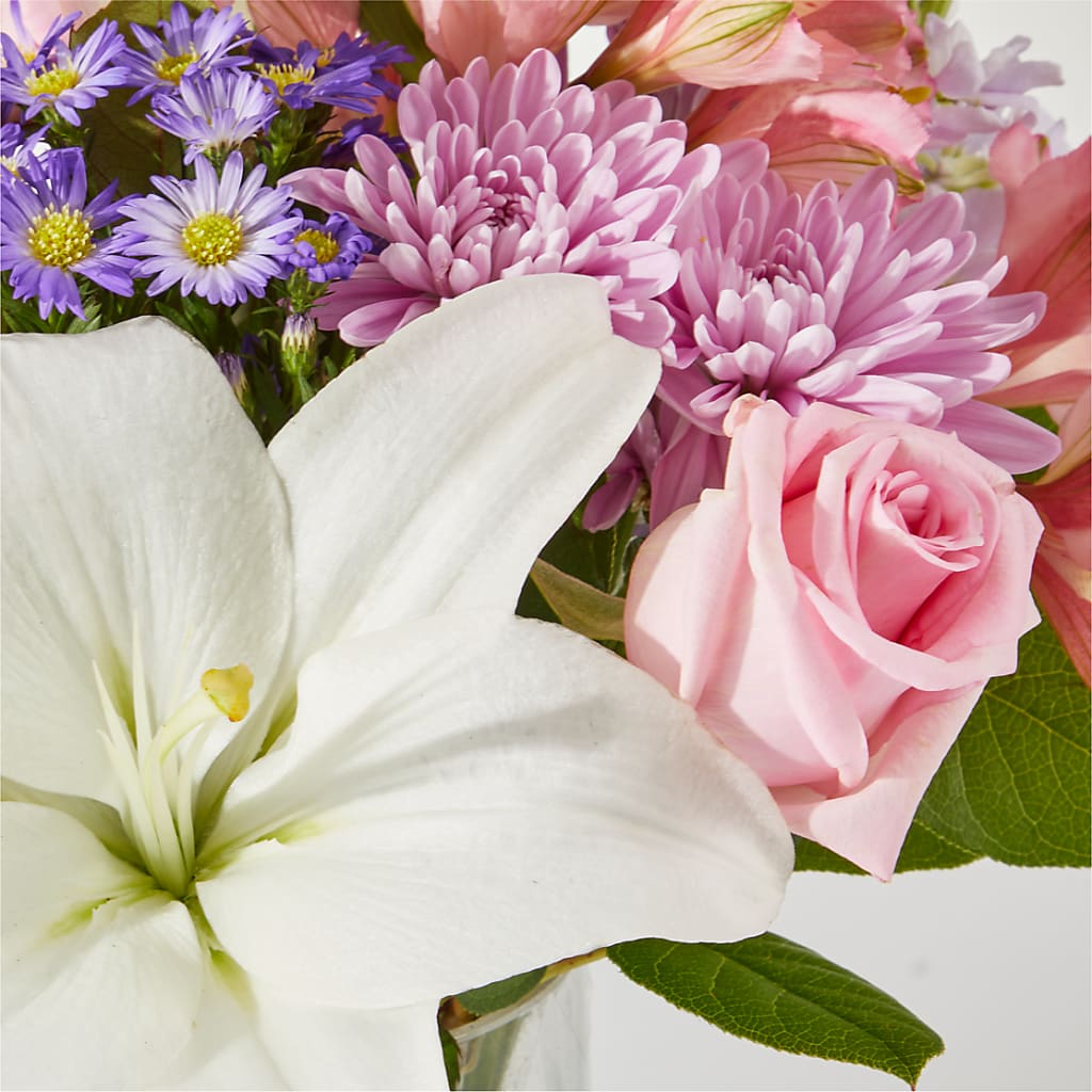 Weekend Escape Bouquet –  Albertsons, Pleasanton CA