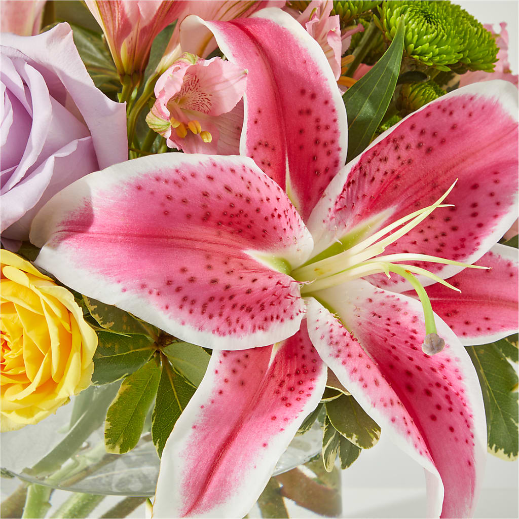 Serendipitous Blossoms Bouquet –  Albertsons, Pleasanton CA