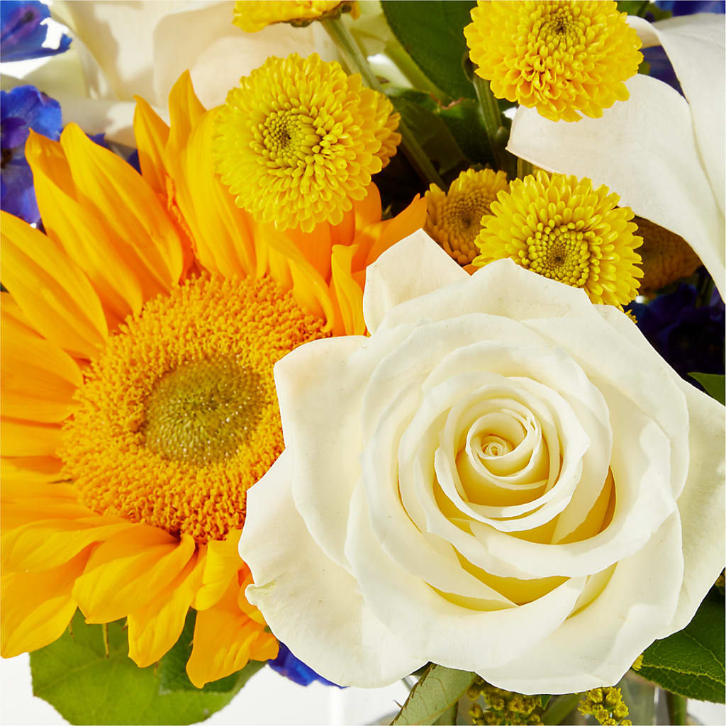 Stargazing Bouquet –  Albertsons, Pleasanton CA