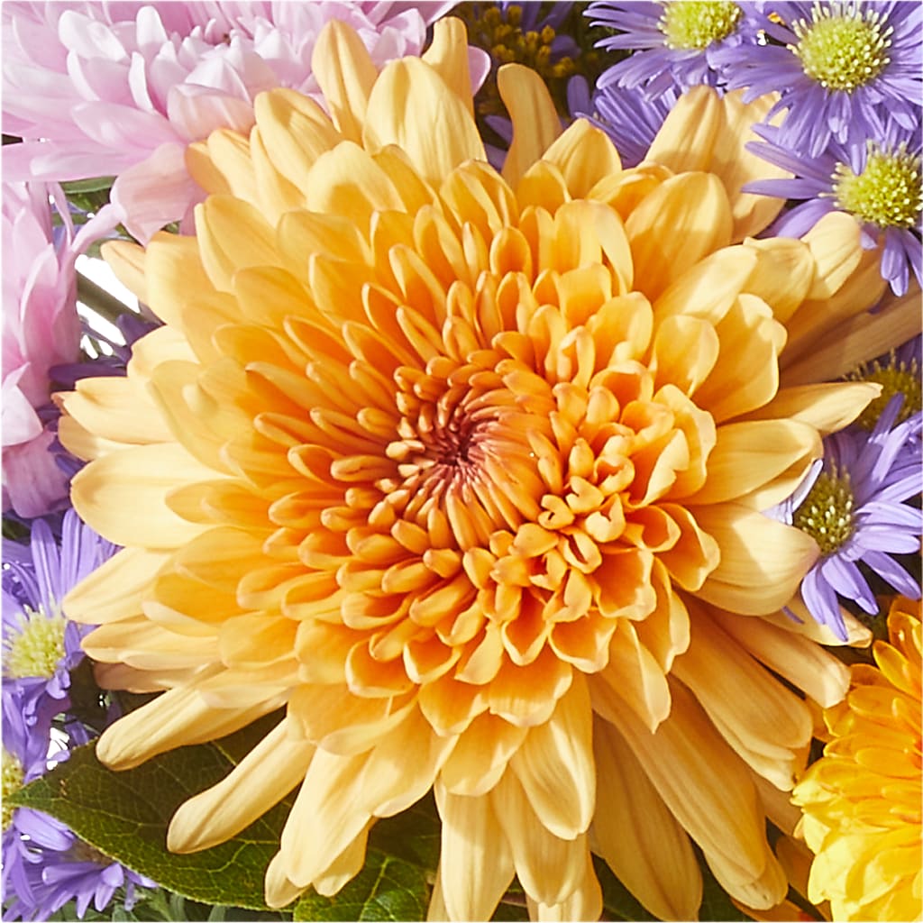 Countryside Bouquet –  Albertsons, Pleasanton CA