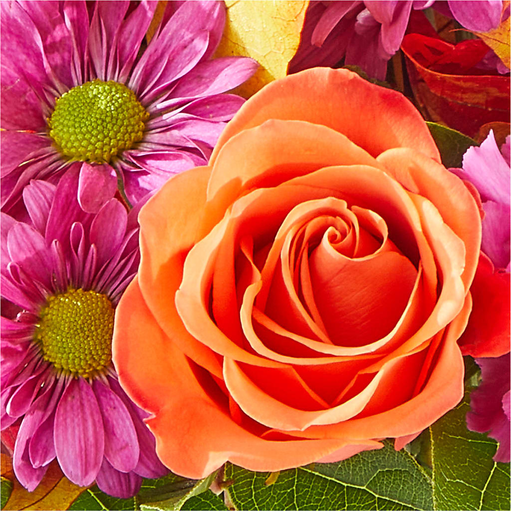 Mum's the Word Bouquet –  Albertsons, Pleasanton CA