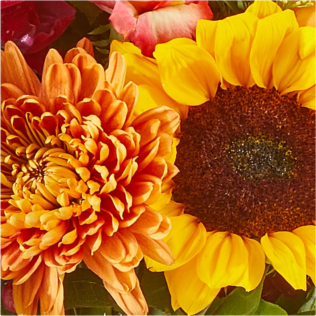 Seasons Change Bouquet –  Albertsons, Pleasanton CA