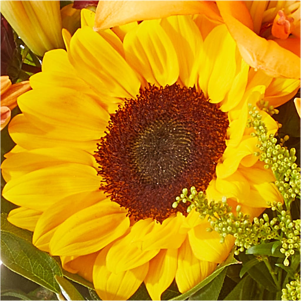 Seasons Change Bouquet –  Albertsons, Pleasanton CA
