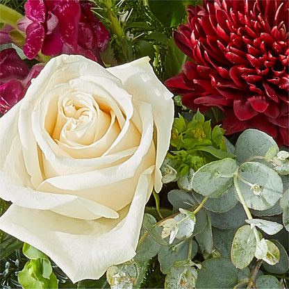Cranberry Fizz Bouquet –  Albertsons, Pleasanton CA