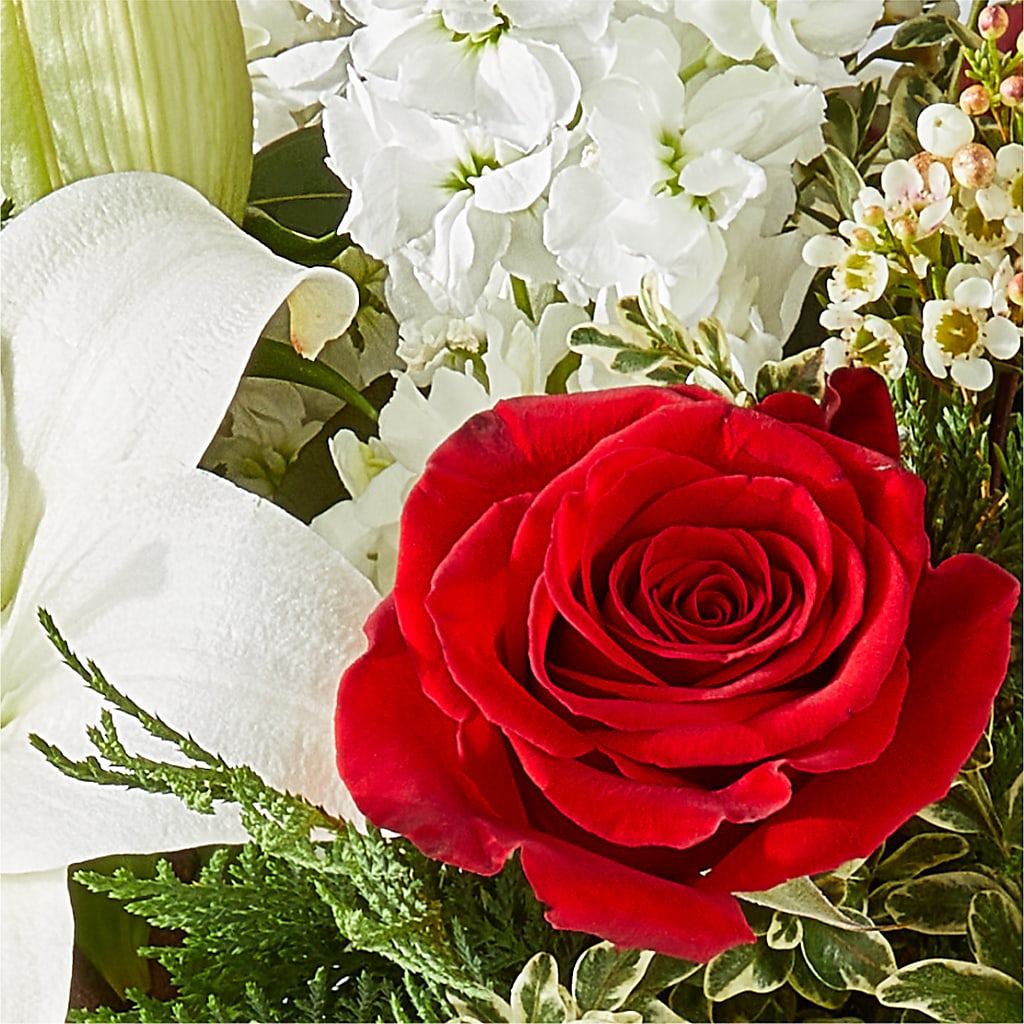Twinkle Lights Bouquet –  Albertsons, Pleasanton CA