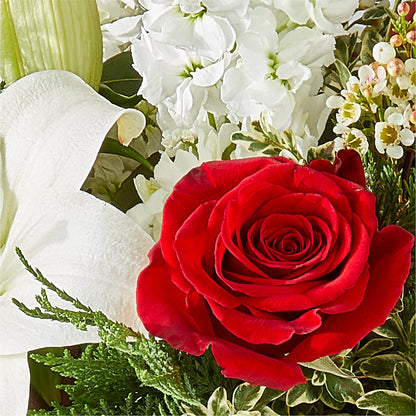 Twinkle Lights Bouquet –  Albertsons, Pleasanton CA