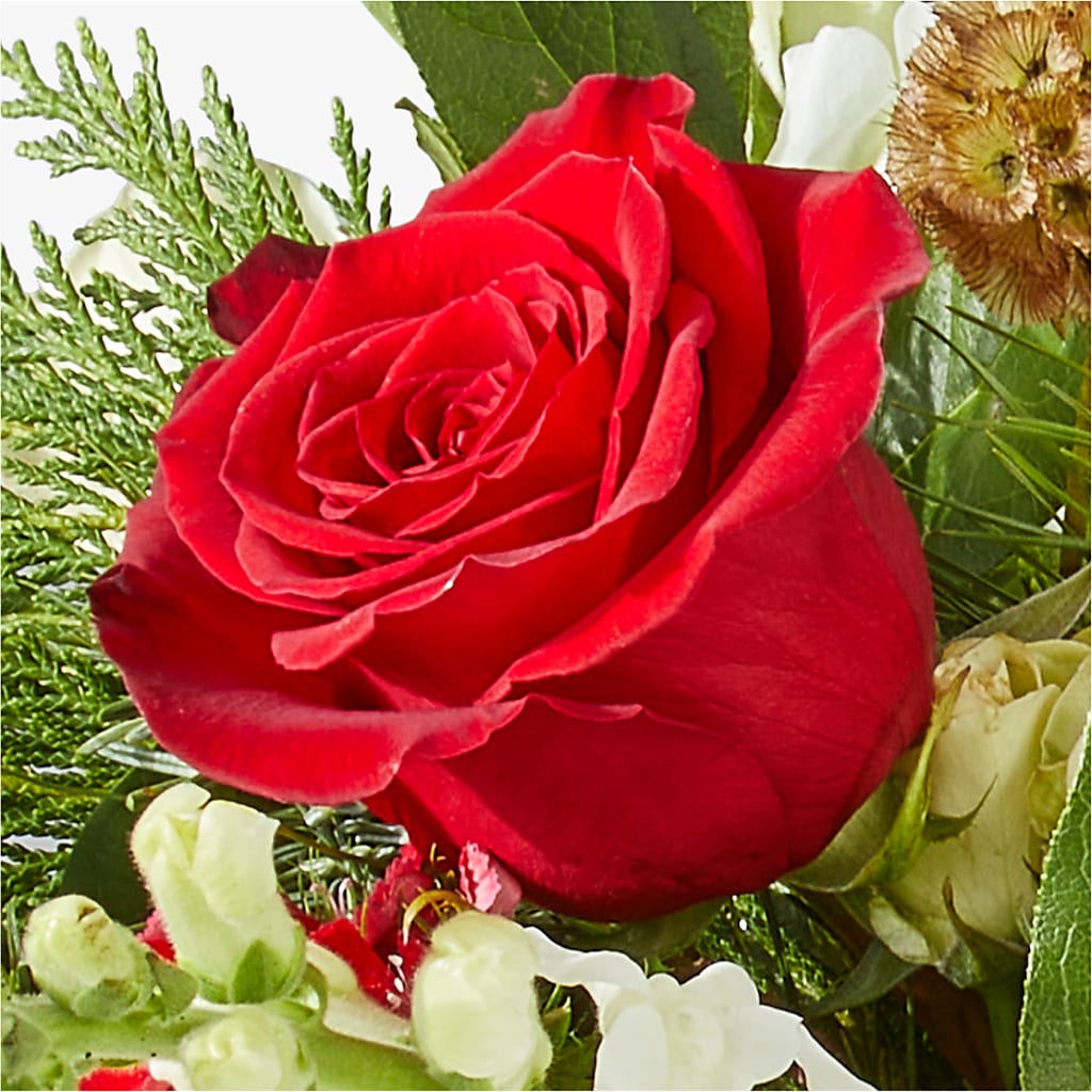 Deck the Halls Bouquet –  Albertsons, Pleasanton CA