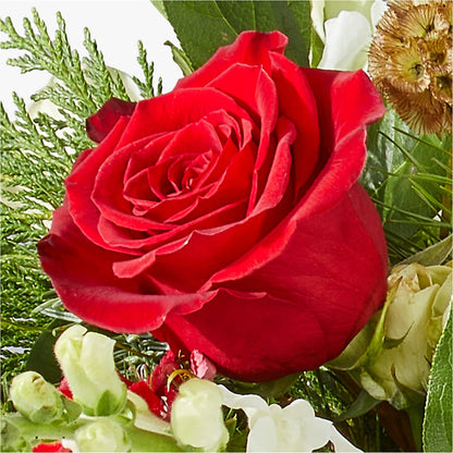 Deck the Halls Bouquet –  Albertsons, Pleasanton CA