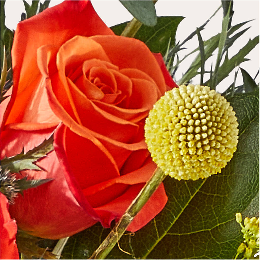 Disco Bouquet –  Albertsons, Pleasanton CA