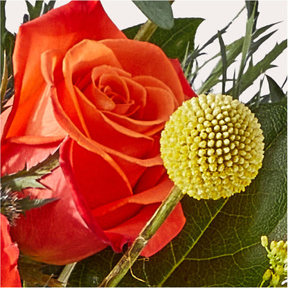 Disco Bouquet –  Albertsons, Pleasanton CA