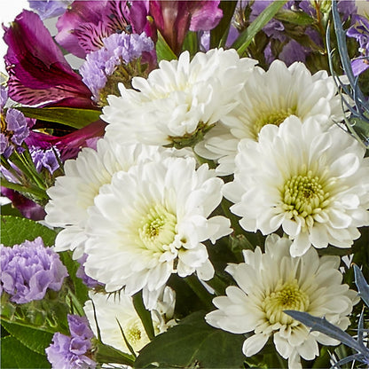 Shooting Star Bouquet –  Albertsons, Pleasanton CA