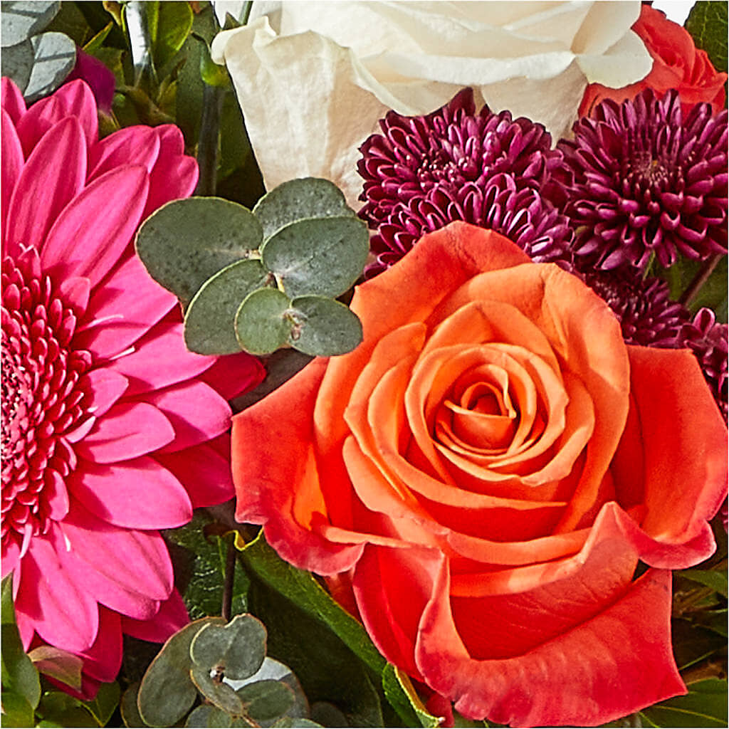 Smell the Roses Bouquet –  Albertsons, Pleasanton CA