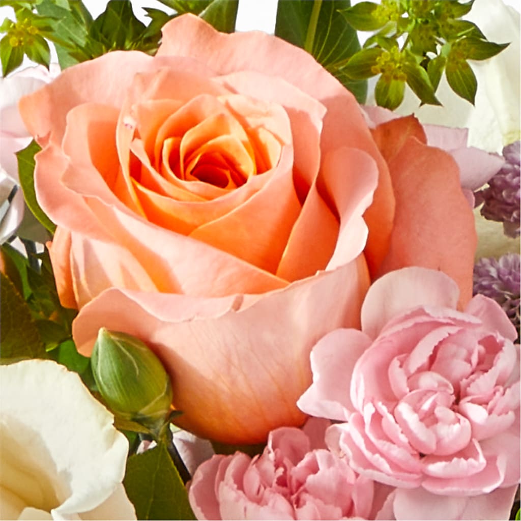 French Market Bouquet –  Albertsons, Pleasanton CA