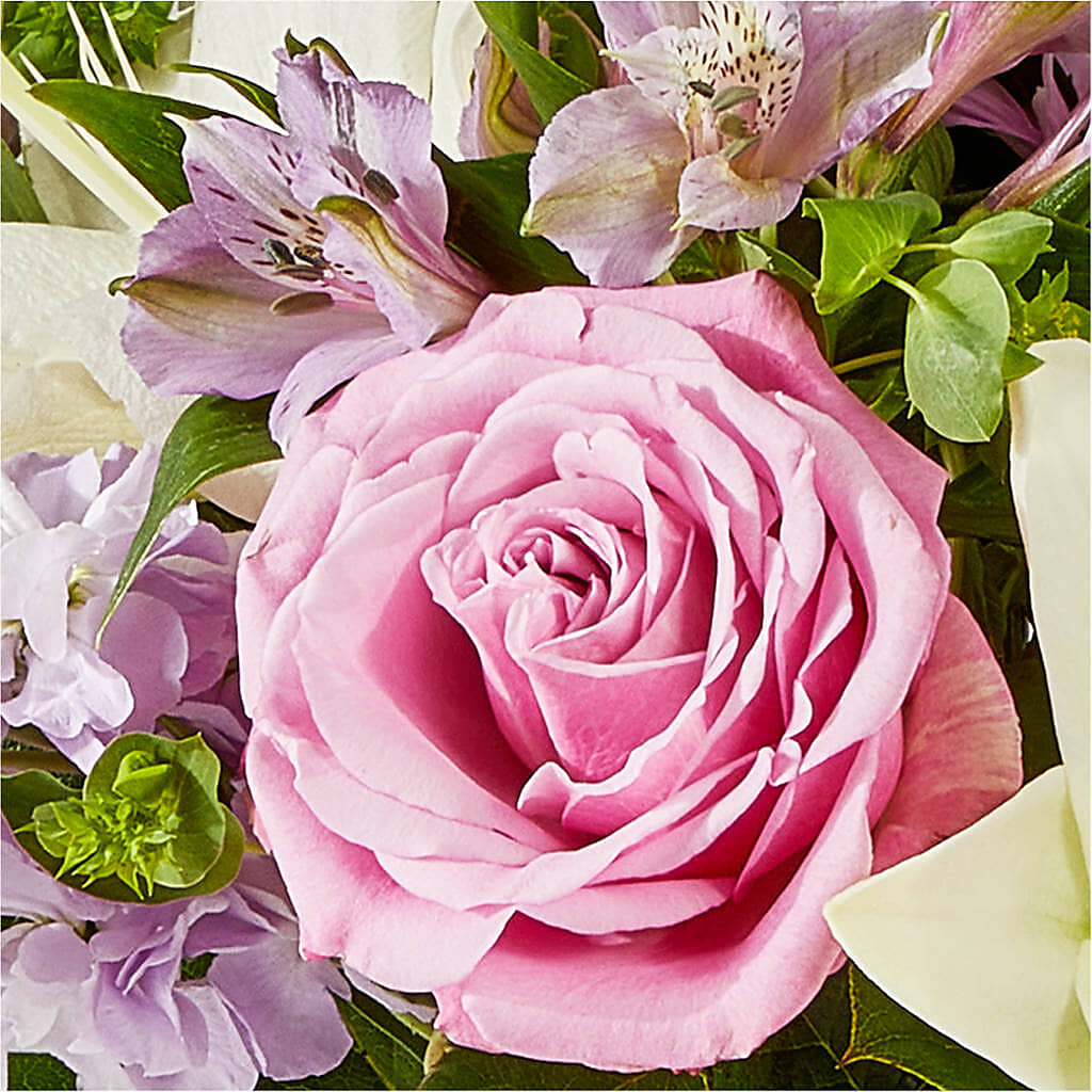 Daydreamer Bouquet –  Albertsons, Pleasanton CA