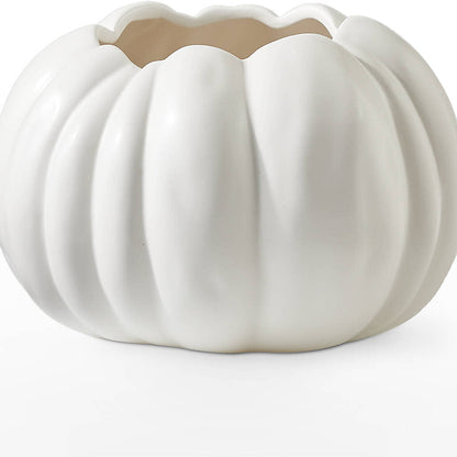 Pumpkin to Talk About Bouquet –  Albertsons, Pleasanton CA